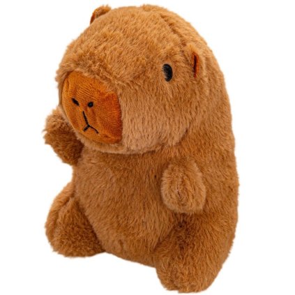 kapybara1